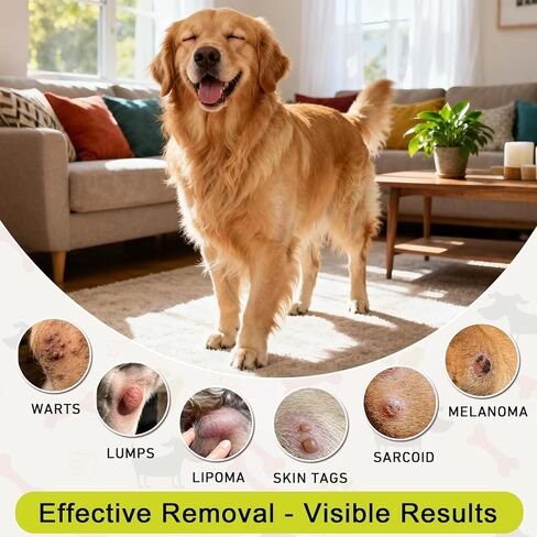 Topical 99.995% DMSO for Dogs Lipoma, Lipoma Treatment for Dogs, Reduce Fatty Lumps and Bumps Inflammation, Swelling, Dog Pain Relief, DMSO in Glass Bottle with Precision Dropper, 1.7 oz in Kuwait