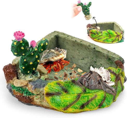 U0U Hermit Crab Food Dish,Resin Hermit Crab Food and Water Bowl,Hermit Crabs Water Bowl with Climbing Ramp and Hermit Crabs Accessories Decor (Green) in Kuwait