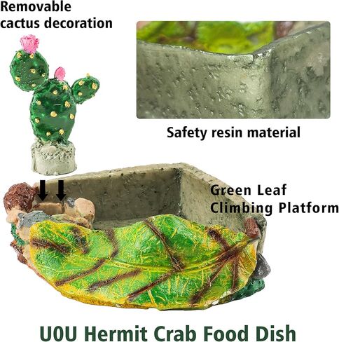 U0U Hermit Crab Food Dish,Resin Hermit Crab Food and Water Bowl,Hermit Crabs Water Bowl with Climbing Ramp and Hermit Crabs Accessories Decor (Green) in Kuwait