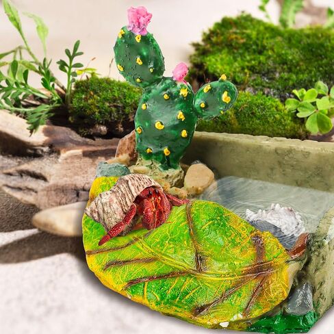 U0U Hermit Crab Food Dish,Resin Hermit Crab Food and Water Bowl,Hermit Crabs Water Bowl with Climbing Ramp and Hermit Crabs Accessories Decor (Green) in Kuwait