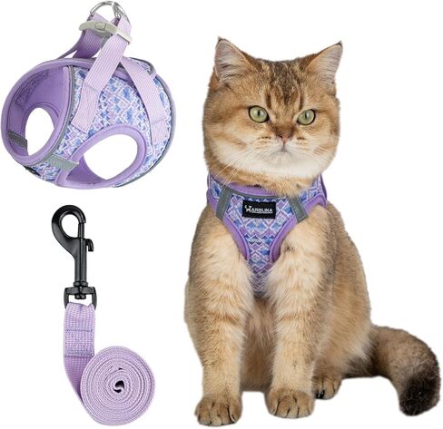 Arblina Soft Mesh Kitten Harness and Leash Set for Walking, Lightweight Step in Cat Vest Harness,Reflective Ajustable Puppy Vest for Traveling in Kuwait