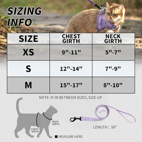 Arblina Soft Mesh Kitten Harness and Leash Set for Walking, Lightweight Step in Cat Vest Harness,Reflective Ajustable Puppy Vest for Traveling in Kuwait