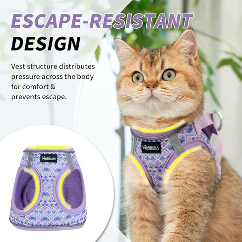Arblina Soft Mesh Kitten Harness and Leash Set for Walking, Lightweight Step in Cat Vest Harness,Reflective Ajustable Puppy Vest for Traveling in Kuwait