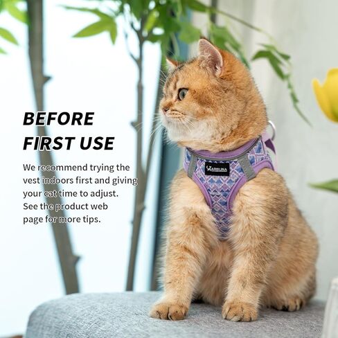 Arblina Soft Mesh Kitten Harness and Leash Set for Walking, Lightweight Step in Cat Vest Harness,Reflective Ajustable Puppy Vest for Traveling in Kuwait