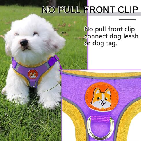 Adjustable No-Pull Dog Harness for Small and Medium Dogs, Comfortable Reflective Vest with Leash Set and Dual Clips, Secure and Lightweight Pet Walking Gear in Kuwait