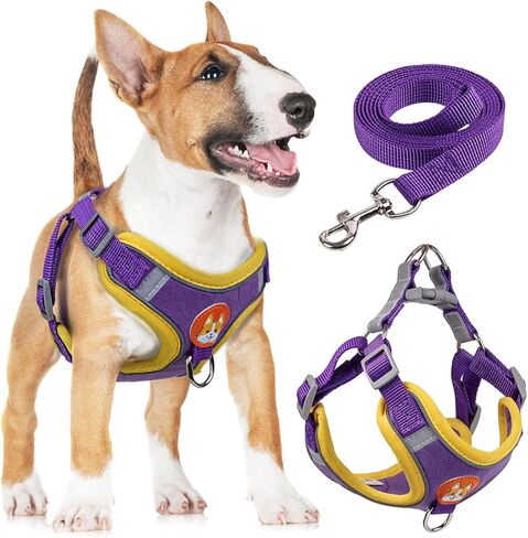 Adjustable No-Pull Dog Harness for Small and Medium Dogs, Comfortable Reflective Vest with Leash Set and Dual Clips, Secure and Lightweight Pet Walking Gear in Kuwait