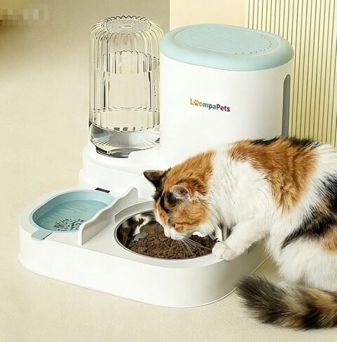 Automatic Cat Feeder and Water Dispenser, 1.1L Cat Dry Food Dispenser with Stainless Steel Bowl, 800ml Gravity Water Dispenser with Filter for Small Dog Cats Kitten Puppy in Kuwait