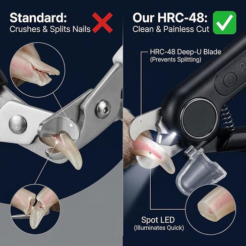 مقص احترافي لأظافر الكلاب 2 في 1 ومطحنة مع ضوء LED، شفرة HRC-48 شديدة التحمل للأظافر السميكة، أداة تشذيب أظافر الحيوانات الأليفة فائقة الهدوء وقابلة لإعادة الشحن للكلاب والقطط الكبيرة، أسود in Kuwait
