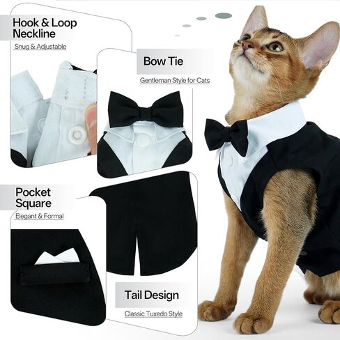 PUMYPOREITY Cat Tuxedo Suit Formal Wear with Bow Tie, Soft Skin-Friendly Cat Costumes for Cats Only, Elegant Outfit for Male Female Cats, Perfect for Wedding Birthday Photo Shoots, L, Black in Kuwait