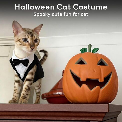 PUMYPOREITY Cat Tuxedo Suit Formal Wear with Bow Tie, Soft Skin-Friendly Cat Costumes for Cats Only, Elegant Outfit for Male Female Cats, Perfect for Wedding Birthday Photo Shoots, L, Black in Kuwait