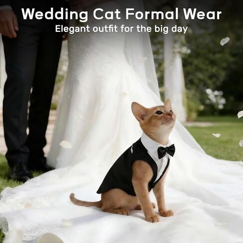 PUMYPOREITY Cat Tuxedo Suit Formal Wear with Bow Tie, Soft Skin-Friendly Cat Costumes for Cats Only, Elegant Outfit for Male Female Cats, Perfect for Wedding Birthday Photo Shoots, L, Black in Kuwait