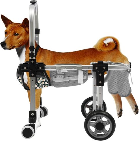 Black Cat Wheelchair Adjustable 2 Wheels Cat Wheelchair for Back Legs,Light Weight Pet Mobility Cart for Medium Cat,Applicable Dog Weight 9.98-12.52kg/22-27.6 lbs (Large B) in Saudi Arabia
