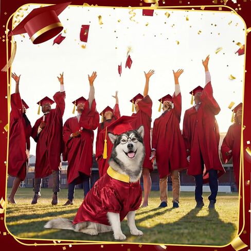 Huhumy 3 Pcs Dog Graduation Costume Set Include Pet Graduation Gown Adjustable Puppy Grad Cap with Gold Tassel Lensless Glasses for Dogs Cats Holiday Costume Accessory(Red,XL) in Saudi Arabia