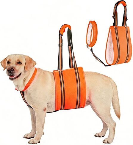 Adjustable Dog Lift Harness, Rear Leg Support and Rehab Harness for Small Dogs, with Stabilizing Strap and Reflective Strip, Helps Assist Elderly, Disabled, and Post-Surgery Dogs in Kuwait