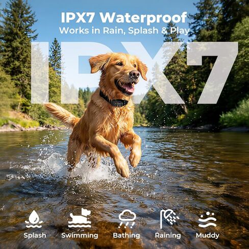 GPS Wireless Dog Fence System, Waterproof Rechargeable Electric Dog Fence Collar with 4-Zone Progressive Correction, 3 Modes & 55-6000ft Adjustable Range for Medium Large Dogs in Kuwait