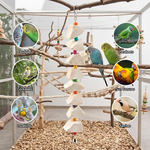 3-Pack Cuttlefish Bone with Volcanic Stone for Parakeets and Small Medium Birds, Cuttlebone for Birds, Natural Beak Care and Calcium Supplement, Cage Enrichment Accessories in Kuwait