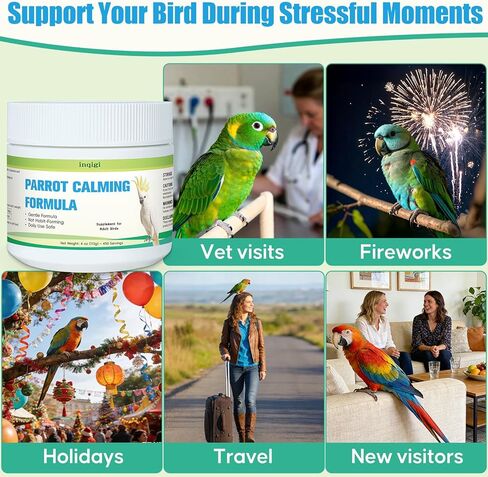 Parrot Calming Supplement – Natural Bird Stress Support Powder for Fireworks, Travel & Visitors – Vet-Formulated – Easy to Use Daily Support for Parrots – 4oz (450 Servings) in Kuwait