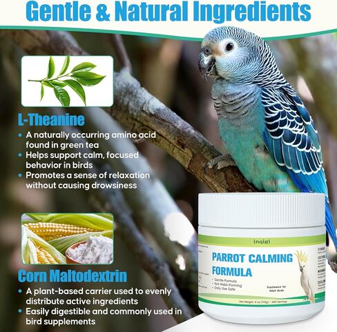 Parrot Calming Supplement – Natural Bird Stress Support Powder for Fireworks, Travel & Visitors – Vet-Formulated – Easy to Use Daily Support for Parrots – 4oz (450 Servings) in Kuwait