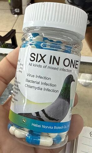 6 in 1 Medicine for Pigeons, Canary, Finches, Parakeet, Cockatiels, Parrots, Cage Small Birds, & Aviary Birds 120 Capsules in Kuwait