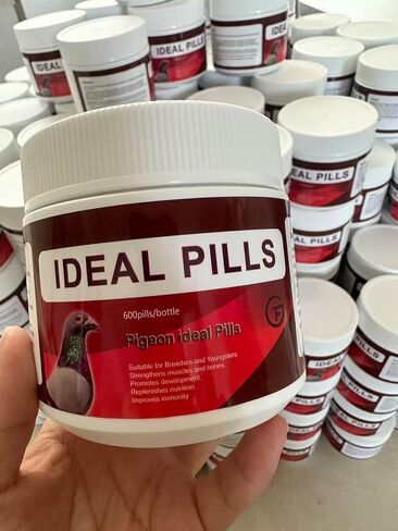 6 in 1 Medicine for Pigeons, Canary, Finches, Parakeet, Cockatiels, Parrots, Cage Small Birds, & Aviary Birds 120 Capsules in Kuwait