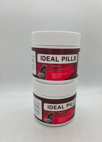 6 in 1 Medicine for Pigeons, Canary, Finches, Parakeet, Cockatiels, Parrots, Cage Small Birds, & Aviary Birds 120 Capsules in Kuwait