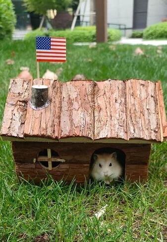 TKYNLQ Natural Pine Wood Hamster Hideout, Rodent Wooden House, Pet Mouse Gerbil Hiding and Playing Small Hut in Kuwait