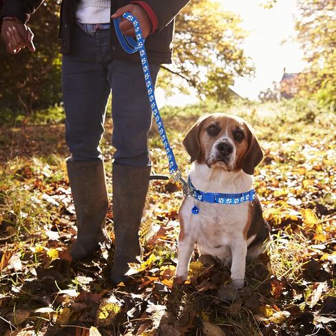 Molain Adjustable Pet Cat and Dog Collar with Leash, Durable Training Rope Quick Release Clip Buckle Collar for Small Puppies and Kittens in Kuwait