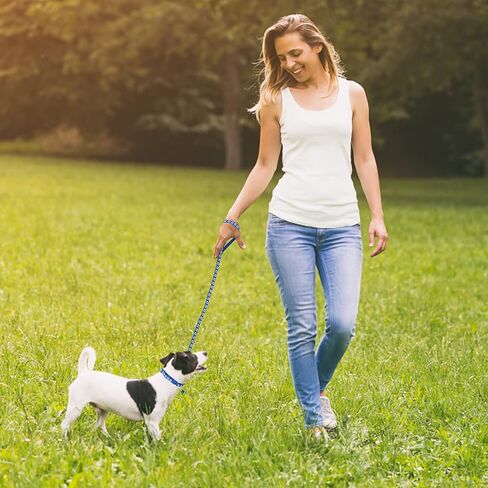 Molain Adjustable Pet Cat and Dog Collar with Leash, Durable Training Rope Quick Release Clip Buckle Collar for Small Puppies and Kittens in Kuwait