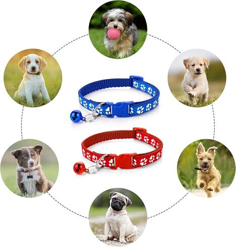 Molain Adjustable Pet Cat and Dog Collar with Leash, Durable Training Rope Quick Release Clip Buckle Collar for Small Puppies and Kittens in Kuwait