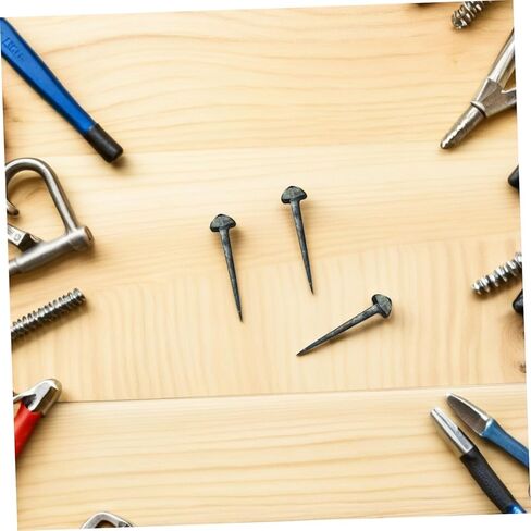 SUPVOX 50pcs Small Iron Horseshoe Nails Compact Hoof Nails Professional Horseshoe Tool for Horse Farrier Supplies and Equestrian Use in Kuwait
