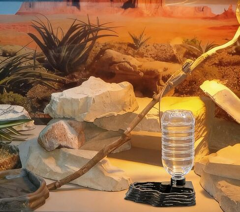 Automatic Reptile Water Dish 17Oz Reptile Water Bowl Bearded Dragon Leopard Gecko Snake Lizard Terrarium Tank Accessories (Black) in Kuwait