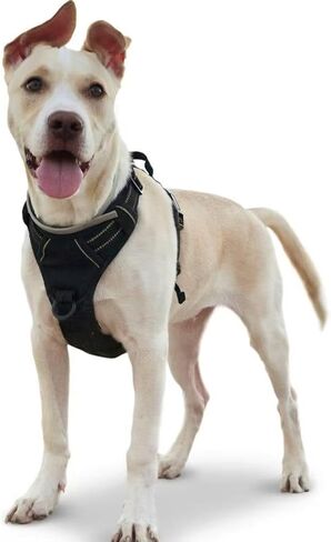 OkTreat Dog Harness, No Pull Design for Comfort and Safety, Available in Red and Black, Multiple Sizes S M L XL in Kuwait