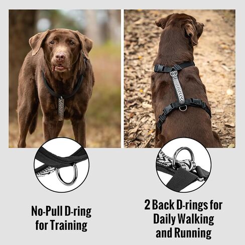 Arblina No Pull Dog Harness with Soft Padded, 3X Buckle Harness with Thick Handle for Medium Large Small Dogs, Ajustable Dog Harness with Front Clip for Walking,Training in Saudi Arabia