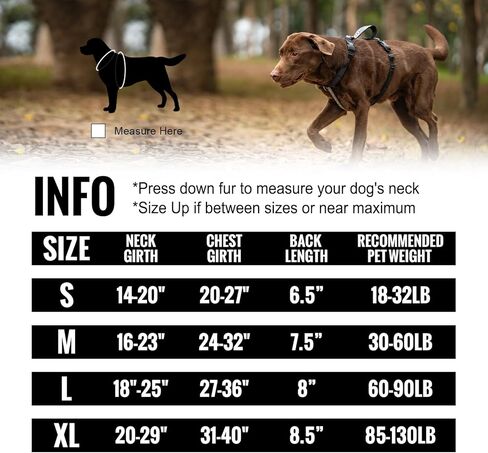 Arblina No Pull Dog Harness with Soft Padded, 3X Buckle Harness with Thick Handle for Medium Large Small Dogs, Ajustable Dog Harness with Front Clip for Walking,Training in Saudi Arabia