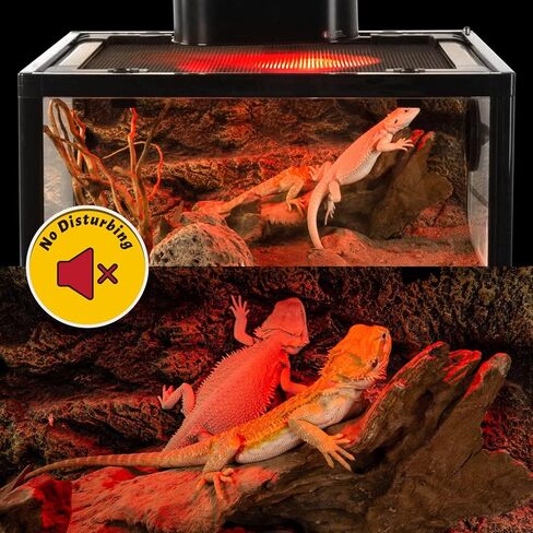 REPTI ZOO 25W Reptile Infrared Heat Lamp 2 Pack,Amphibian Heat Emitter Infrared Basking Spot Light Bulb for Small Geckos,Turtle,Bearded Dragon,Lizard,Tarantulas in Kuwait