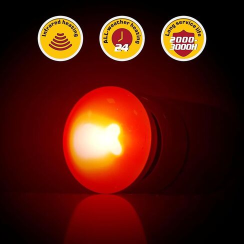 REPTI ZOO 25W Reptile Infrared Heat Lamp 2 Pack,Amphibian Heat Emitter Infrared Basking Spot Light Bulb for Small Geckos,Turtle,Bearded Dragon,Lizard,Tarantulas in Kuwait