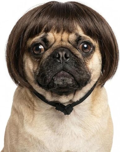 Dog Wigs for Small Dogs, Funny Dog Wigs with Adjustable Elastic Bands, Cat Wig for Small Medium Pet Cosplay Decoration Parties Funny in Kuwait