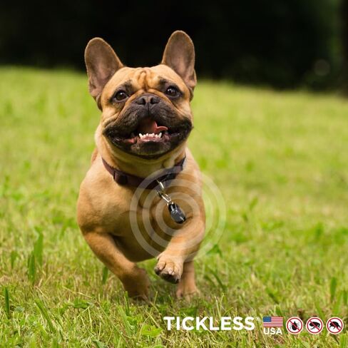 جهاز مضاد للدغات القراد وانتشار البراغيث بالموجات فوق الصوتية للحيوانات الأليفة من Tickless باللون الأسود | حماية خالية من العطور للقطط والكلاب تدوم لمدة 6 أشهر | على الياقة والحزام in Kuwait