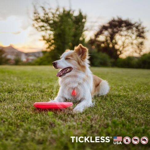 جهاز مضاد للدغات القراد وانتشار البراغيث بالموجات فوق الصوتية للحيوانات الأليفة من Tickless باللون الأسود | حماية خالية من العطور للقطط والكلاب تدوم لمدة 6 أشهر | على الياقة والحزام in Kuwait