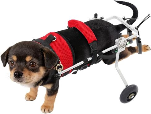 Cat Wheelchair Adjustable 2 Wheels Cat Wheelchair for Back Legs, Light Weight Pet Mobility Cart for Small Cat,Red (Small) in Saudi Arabia