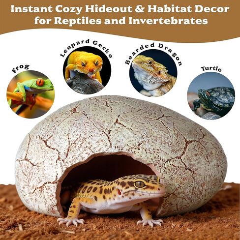 Dinosaur Egg Reptile Hide - Resin Cave for Leopard Gecko, Bearded Dragon & Small Snakes - Humid Hide, Shedding Aid & Terrarium Decor Tank Accessories (Small) in Kuwait