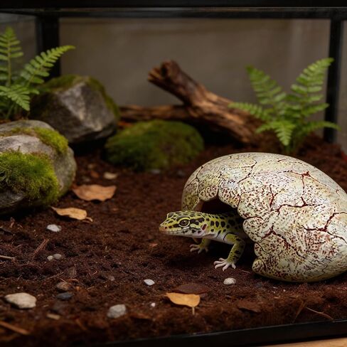 Dinosaur Egg Reptile Hide - Resin Cave for Leopard Gecko, Bearded Dragon & Small Snakes - Humid Hide, Shedding Aid & Terrarium Decor Tank Accessories (Small) in Kuwait