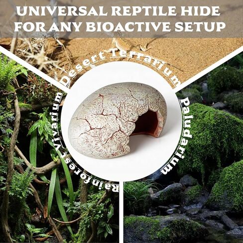 Dinosaur Egg Reptile Hide - Resin Cave for Leopard Gecko, Bearded Dragon & Small Snakes - Humid Hide, Shedding Aid & Terrarium Decor Tank Accessories (Small) in Kuwait