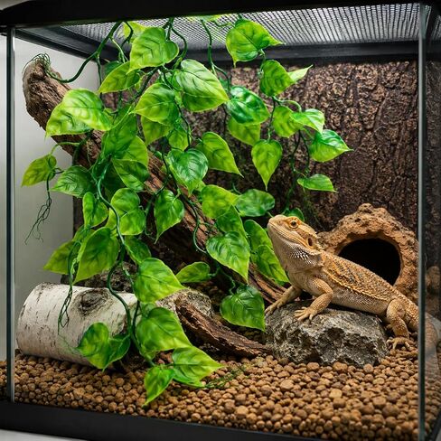 1PCS Reptile Plants, Home Decor,Terrarium Hanging Plants Vines Artificial Leaves Habitat Decorations with Suction Cup for Bearded Dragon Hermit Crab Lizard Snake Geckos Chameleon in Kuwait