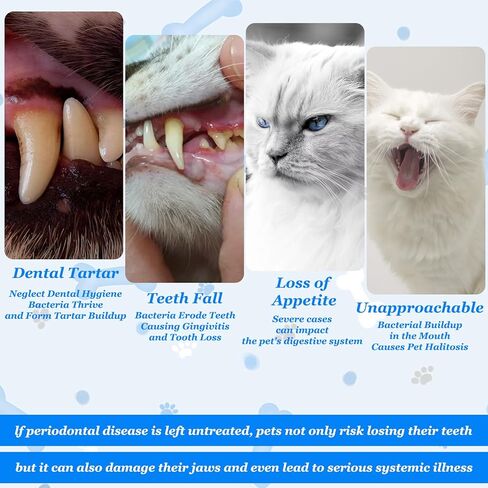 Tucnoeu 3 PCS Small Dog Toothbrush, Cat & Puppy Toothbrush Kit, Mini Toothbrushs Set for Tiny Pets, Deep Cleaning Dental Care in Kuwait