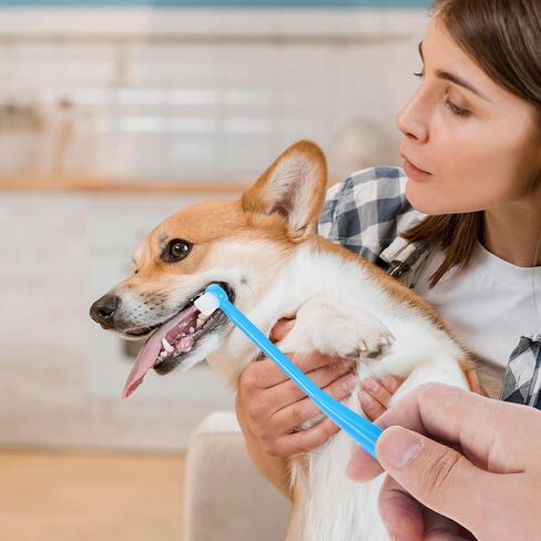 Tucnoeu 3 PCS Small Dog Toothbrush, Cat & Puppy Toothbrush Kit, Mini Toothbrushs Set for Tiny Pets, Deep Cleaning Dental Care in Kuwait