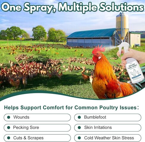 Wound Spray for Chickens and Birds, Poultry Care Spray for Pecking Sores, Bumblefoot, Vent Prolapse, Cuts, Burns & Skin Irritations, Safe for Egg-Laying Hens, Natural Herbal Formula, 8.45 Fl Oz in Kuwait