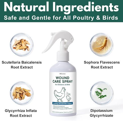 Wound Spray for Chickens and Birds, Poultry Care Spray for Pecking Sores, Bumblefoot, Vent Prolapse, Cuts, Burns & Skin Irritations, Safe for Egg-Laying Hens, Natural Herbal Formula, 8.45 Fl Oz in Kuwait