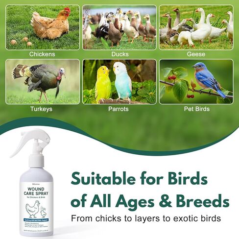 Wound Spray for Chickens and Birds, Poultry Care Spray for Pecking Sores, Bumblefoot, Vent Prolapse, Cuts, Burns & Skin Irritations, Safe for Egg-Laying Hens, Natural Herbal Formula, 8.45 Fl Oz in Kuwait