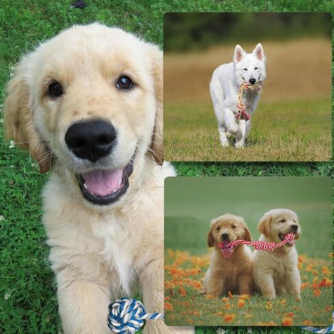 16 Pcs Small Dog Rope Toys, Puppy Tug of War Toy Set for Small Breeds 0-15 Lbs, Cotton Dog Tug Toys for Boredom, Teething & Interaction in Saudi Arabia
